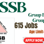 DSSSB